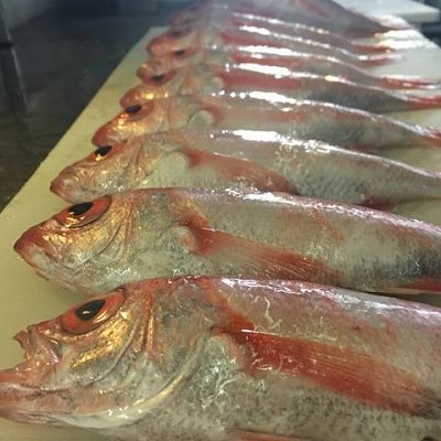 新潟名物 のどぐろ