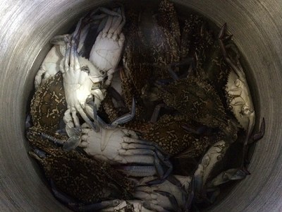 煮込む前の蟹