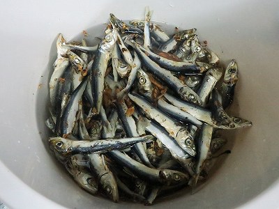 魚介出汁