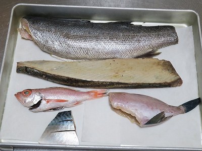 各種魚介類