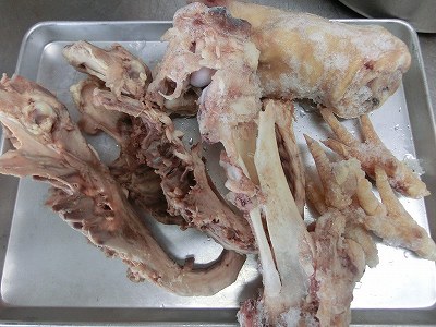 動物系素材