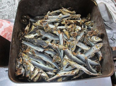 煮干し
