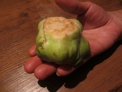 生ザーサイ