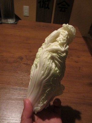ワアワアサイ（ミニ白菜）