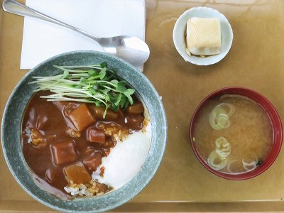 高原名物カレー玉子丼