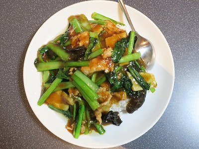 肉ごはん