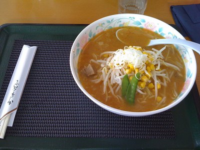 遠目から撮影