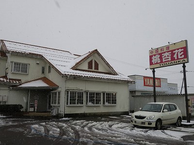 桃杏花